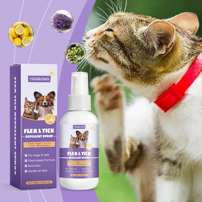 Pet Flea Spray Spray Effectively Removing Fleas Ticks Relieve Skin Itching Natural Ingredients Non Irritating Pet Flea Repellent
