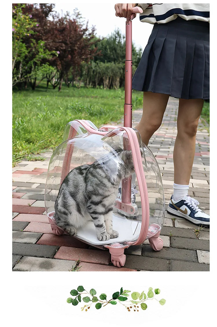 Pet Trolley Case, Fully Transparent Cat Case, Breathable Space Cabin Cat Bag, Outdoor Bag, Portable Small Dog Bag