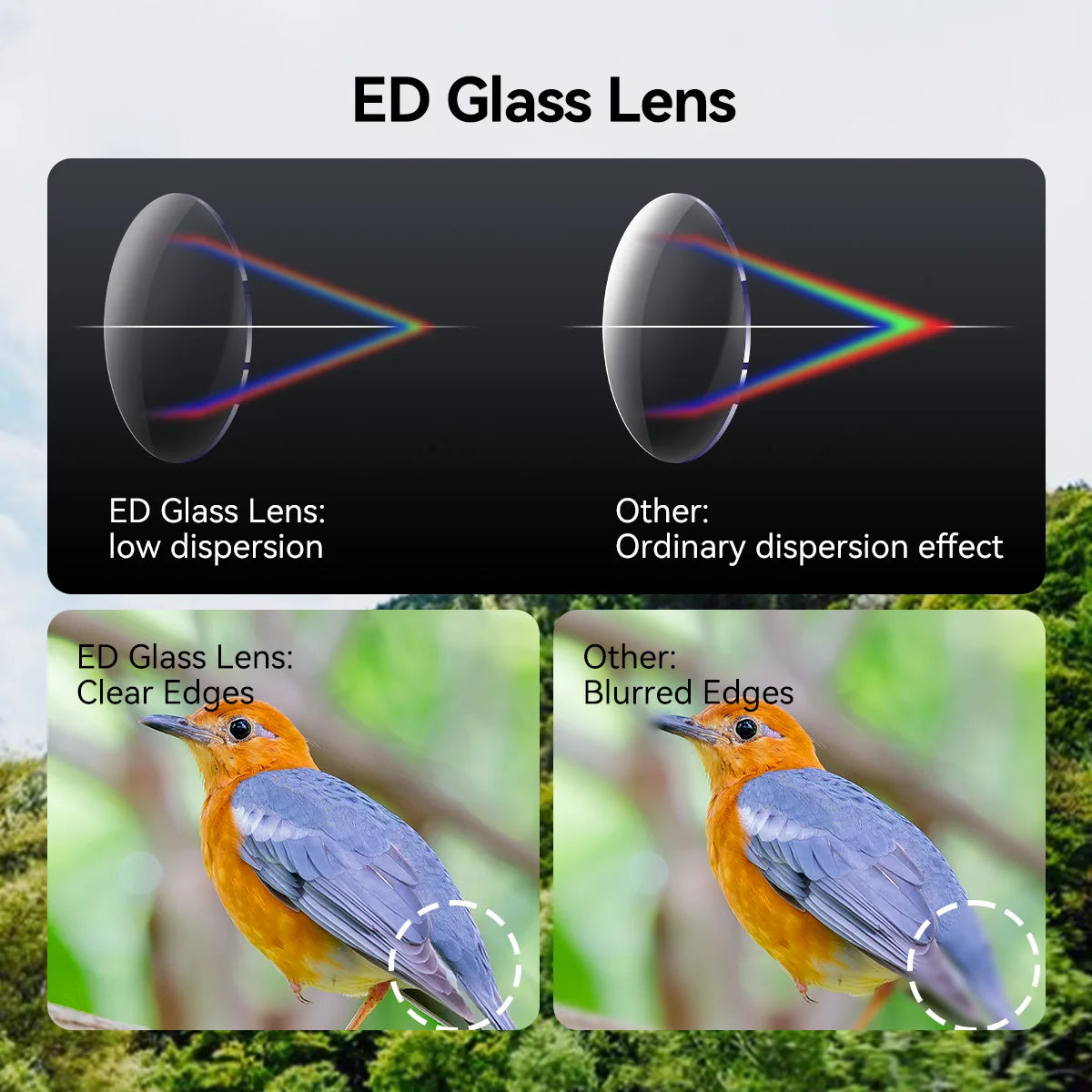 Svbony SV202 Upgraded Wide-angle ED Binoculars 8x32/8x42/10x42 Bak4 Prism IPX7 Waterproof Fogproof for Bird Watching Camping