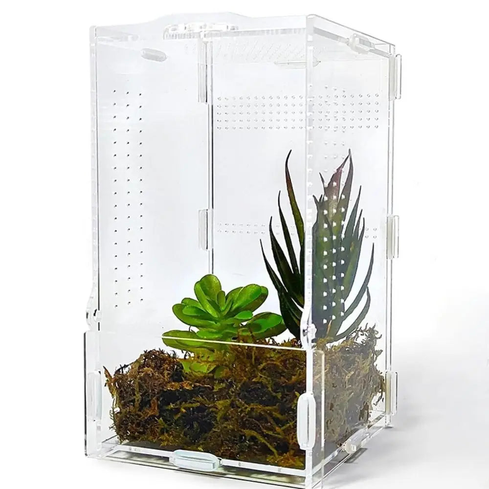 Acrylic Jumping Spider Enclosure Buckle Lock Escape Proof Reptile Feeding Tank Transparent Ventilated Spider House