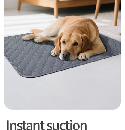1PC Washable Reusable Pet Mat Training Pad, Suitable for Dogs and Cats, Non-Slip,Dog Cat Pad Blanket,  Pet Accessories