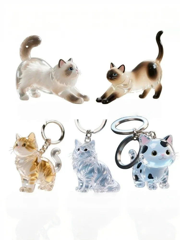 (HB05)Cute Cat Hair Storage Keychain Bag Pendant Transparent Pet Fur Keepsake Capsule Souvenir Collection Gift Decoration