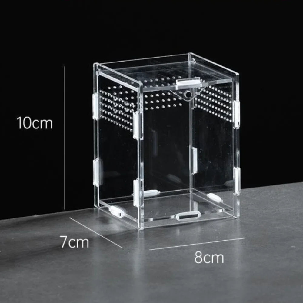 New Acrylic Reptile Habitat Anti-Escape Clear Spider Feeding Case Multiple Size Arboreal Small Pet Cage for Chameleon Clear