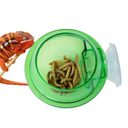 Reptile Pet Feeding Bowl Clear Anti-escape Pet Bowl Insect Worm Food Container Water Bowl for Lizard Gecko Chameleon Reptile Pet