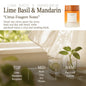 Solid Car Air Fresheners For Universal Vehicles Odor Eliminator Long Lasting Fragrance Interior Aroma Gel Auto Accessories Decor