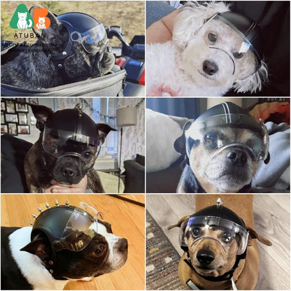 ATUBAN Dog Helmets for Small Dogs, Dog Helmet with Clear Lens Goggles, Doggie Helmets Hat with Ear Holes,Bike Doggie Helmet Dogs