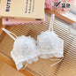 Japanese Style Lolita Princess Wind Lace Lace Lingerie Design for Girls Push-up Bra Women Underwear  Push Up Bra