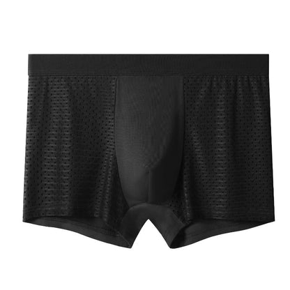 8pcs/set Men's Panties Ice Silk Mesh Men Underwear Breathable Men's Underpant Fashion Panties Male Solid Color Boxer Shorts