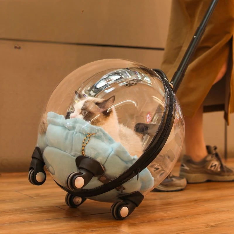 Portable Cat Bag for Going Out Large Capacity Transparent Breathable Pet Trolley Case Cat Travel Bag Pet Supplies Cat nest