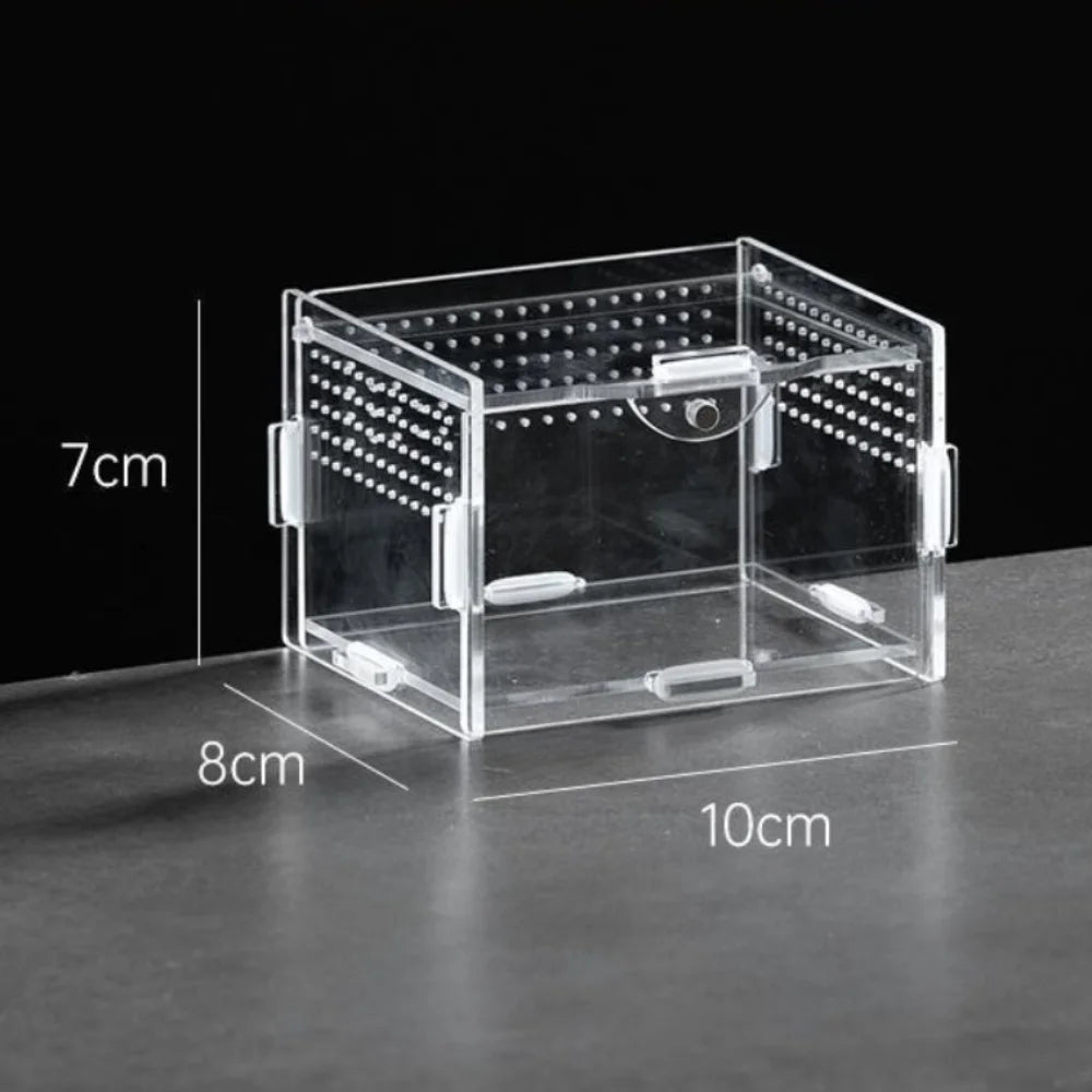 New Acrylic Reptile Habitat Anti-Escape Clear Spider Feeding Case Multiple Size Arboreal Small Pet Cage for Chameleon Clear