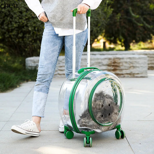 pet trolley case portable dog going out transparent trolley bag large capacity two cats