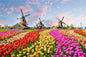 46*28cm Jigsaw Puzzles 500 Pieces Paper Picture Landscape Oil Painting Art Puzzles Decompression Toys for Adults Family Games