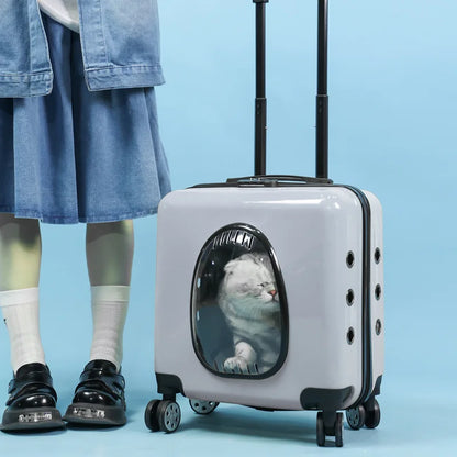 2026 New Multi Functional Small Pet Breathable Box, Cat Suitcase, Comfortable Outdoor Pet Suitcase, Travel Suitcase