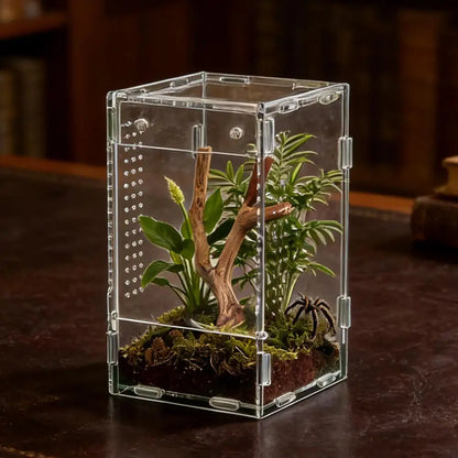 1pc Acrylic Transparent Reptile Breeding Box Amphibian Cage Nano Arboreal Tarantula Enclosure Jumping Spider Reptiles Habitat