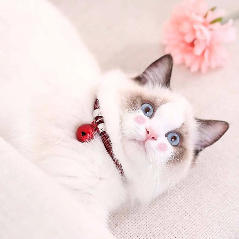 Fashion Easy Wear For Puppy Kitten Adjustable Cat Necklace Grooming Accessories Pet Collar Pet Supplies
