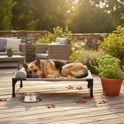 Elevated Pet Bed All-Season Use Raised Dog and Cat Bed Pet Cot Sturdy Frame With Pillow Support for Felines, Travel