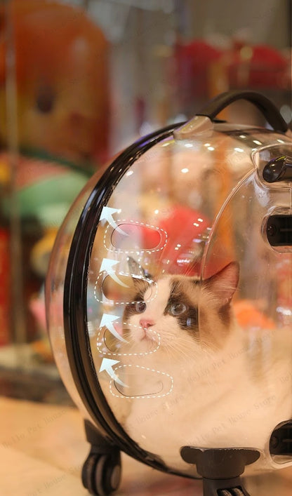 Portable Cat Bag for Going Out Large Capacity Transparent Breathable Pet Trolley Case Cat Travel Bag Pet Supplies Cat nest