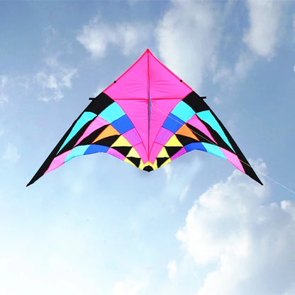 Free shipping large delta kites professional for adults kites flying toys sport kites windsurfing show kites fried flight kites