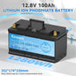 12V/24V LiFePO4 Battery with BMS - 30/50/100/120/135/300Ah for Golf Cart, Solar, RV, EV - Long Lifespan