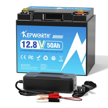12V/24V LiFePO4 Battery with BMS - 30/50/100/120/135/300Ah for Golf Cart, Solar, RV, EV - Long Lifespan