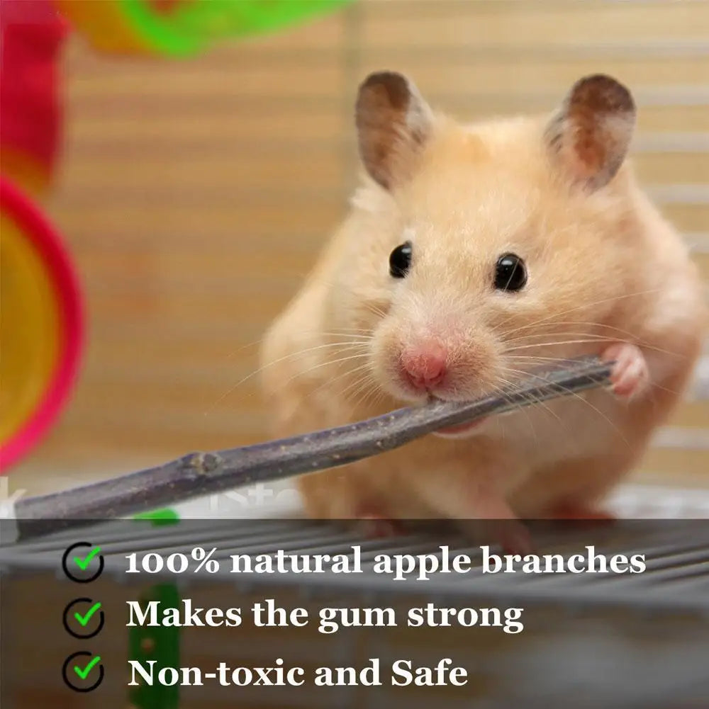 100% Natural Apple Branch Rabbit Chew Sticks Small Pet Chinchillas Netherlands Pig Hamster Bite Molars Clean Teeth Wooden Toys