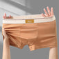 Underwear Man 2025 briefs mid-waist quadrangle pants loose XXXXL underpants men's boxer briefs confirtable clothing