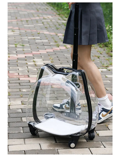 Pet Trolley Case, Fully Transparent Cat Case, Breathable Space Cabin Cat Bag, Outdoor Bag, Portable Small Dog Bag
