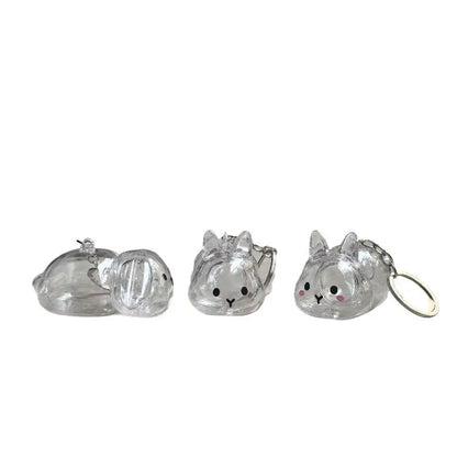 Cartoon Pet Hair Memorial Transparent Storage Box Keyring Cute Animal Rabbit Fur Organizer Keychain Bag Pendant Pet Souvenirs