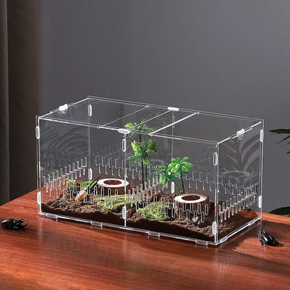 Acrylic Jumping Spider Enclosure 2 Doors Transparent Small Pet Terrarium Escape-proof Ventilated Design Reptile Habitat
