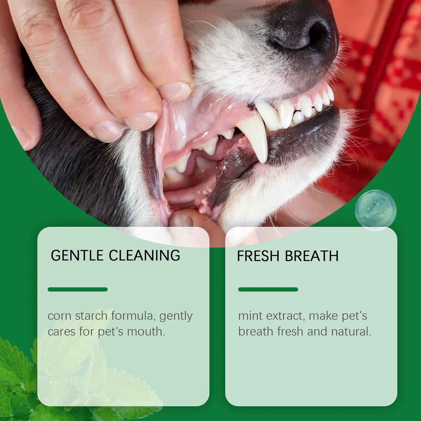 Pet Teeth Cleaning Powder for Cats Dogs Reduce Tartar Plaque Deep Clean Surface Dirt Keep Fresh Breath Oral Grooming Supplies
