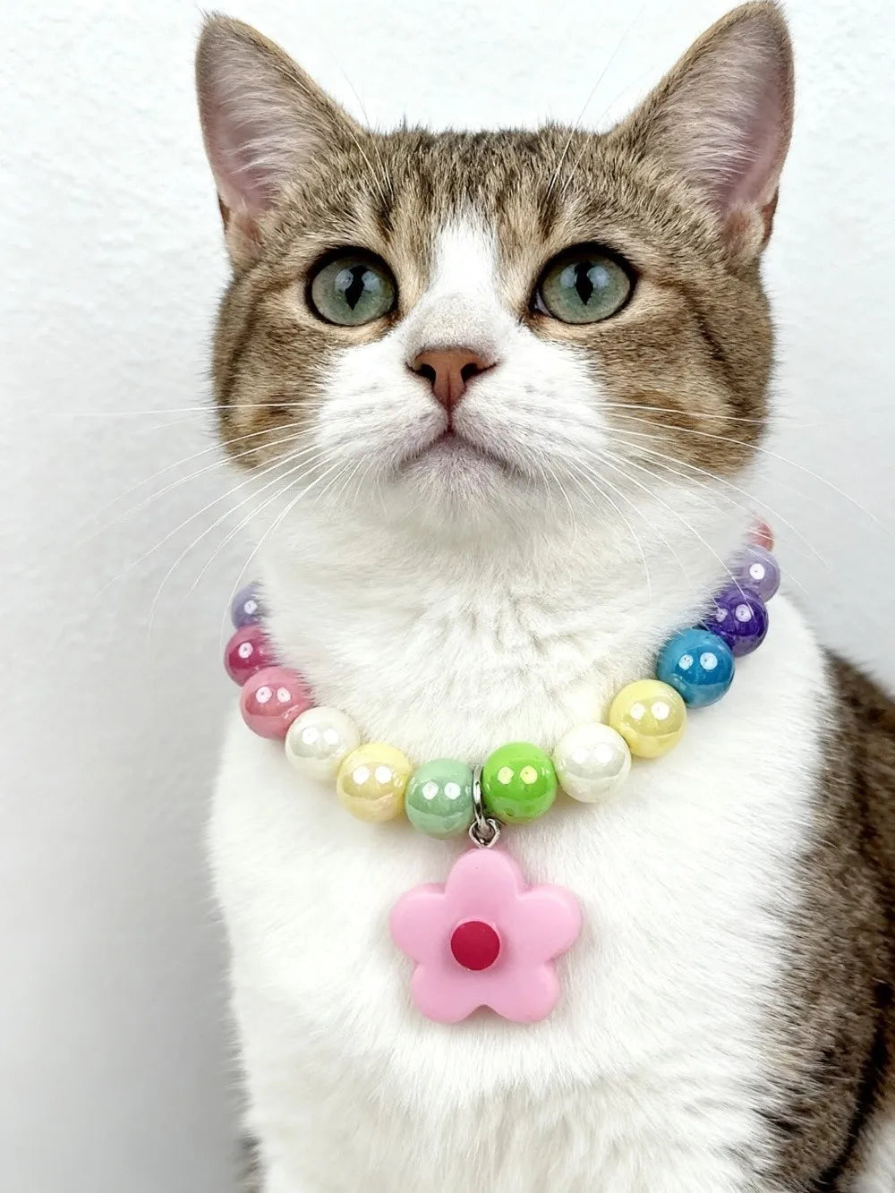 Cute Adjustable Beaded Cat Flower Pendant Candy Color Cat Pet Neck Chain Pet Jewelry Elastic Dog Cat Pet Collar Kitten Puppy
