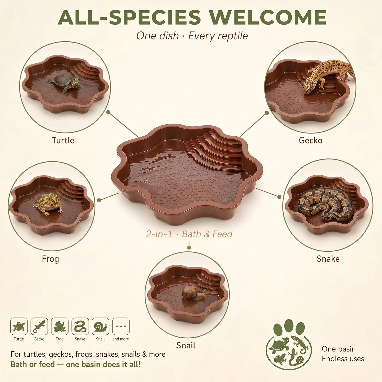 Turtle Bathing Pool Plastic Reptile Water Bowl with Ramp Non Slip Feeding Tray for Tortoise Gecko Frog Snake Terrarium Decor