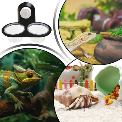 Reptile Tank Accessories Insect Spider Ants Nest Snake Gecko Food Water Feeding Bowl Terrarium Breeding Feeders Box Pets Supplie