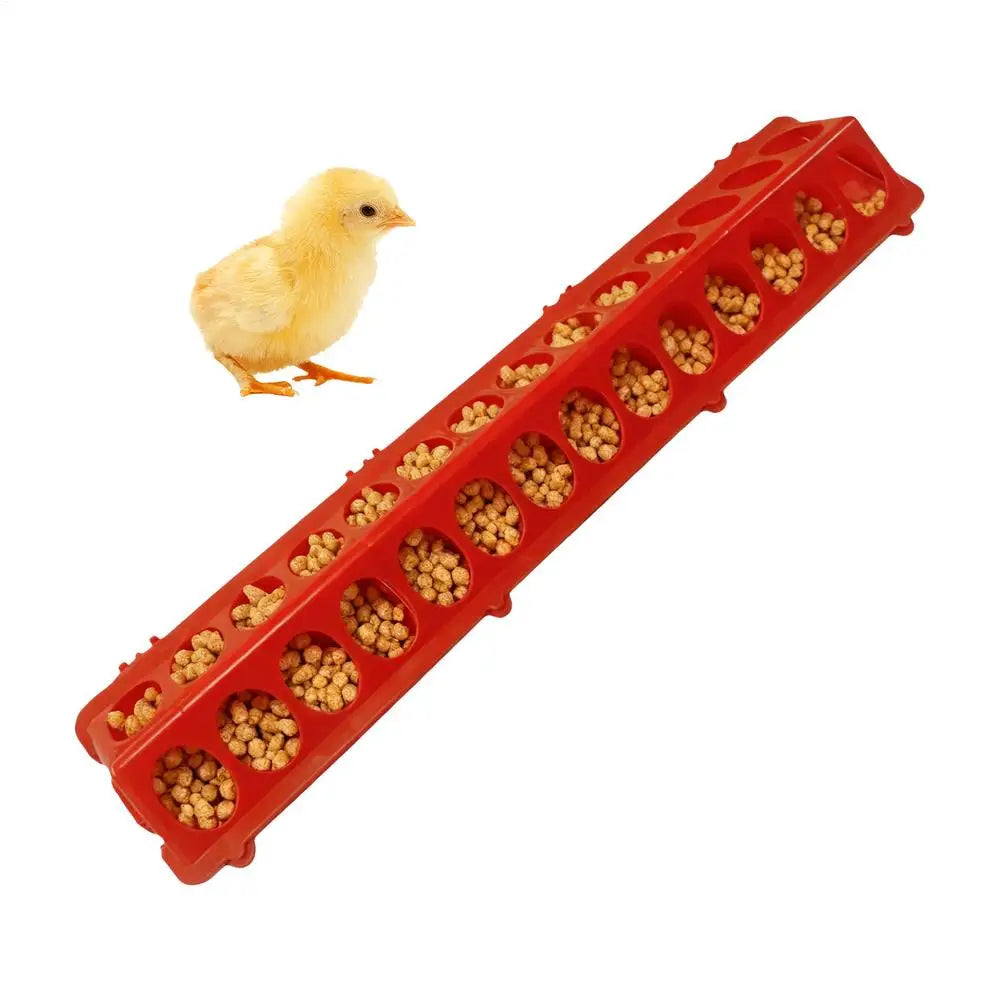 Pigeon Feeder 28-hole Long Large Capacity Pet Supplies Baby Chick Feeder for Coop Quail Duckling Duck Food Hen Rooster Pet Treat
