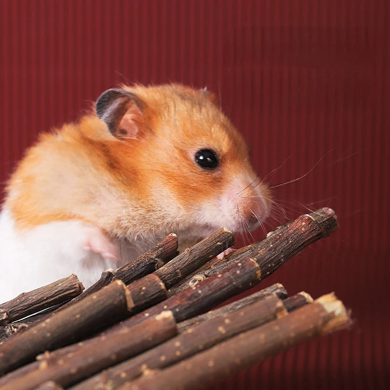 Hamster Molar Stick Toys Sweet Bamboo Stick Apple Twig Rabbit Dutch Pig Chewing Twig Nibble Small Pet Toy Dried Molar Toys 50g