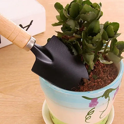 3Pcs Mini Garden Tools Set for Indoor Plants Cactus Vegetables Digging Weeding Flower Pot Small Plants Gardening Kit