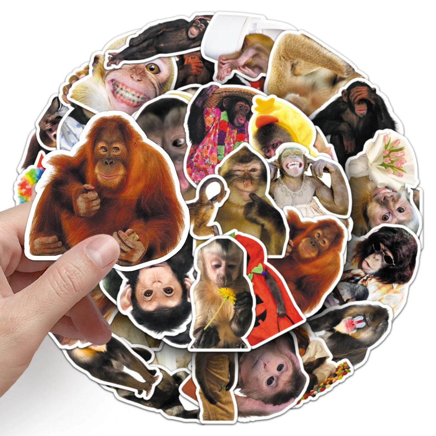 50Pcs Crazy Funny Monkey & Orangutan Doodle Stickers Waterproof Decals for Stationery Notebook Helmet Motorcycle Suitcase Fridge