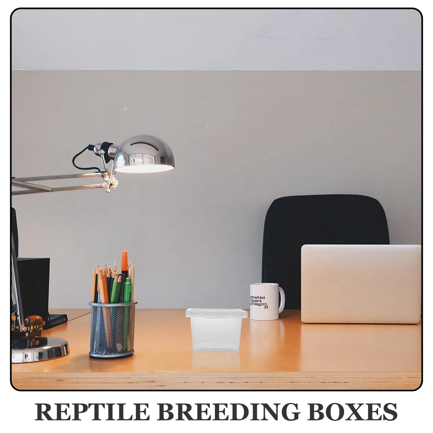 100Pcs Ventilated Insect Housing Box Premium PP Reptile Feeding Container for Daily Use Escape-Prevention Comfortable Nest