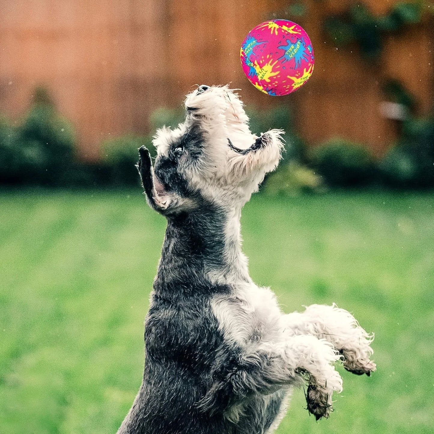 20pcs Dog Toys, Swimming Pool Splash Balls, Reusable Water Cloth Balls, Absorbent Bubble Balls, Summer Beach Parties