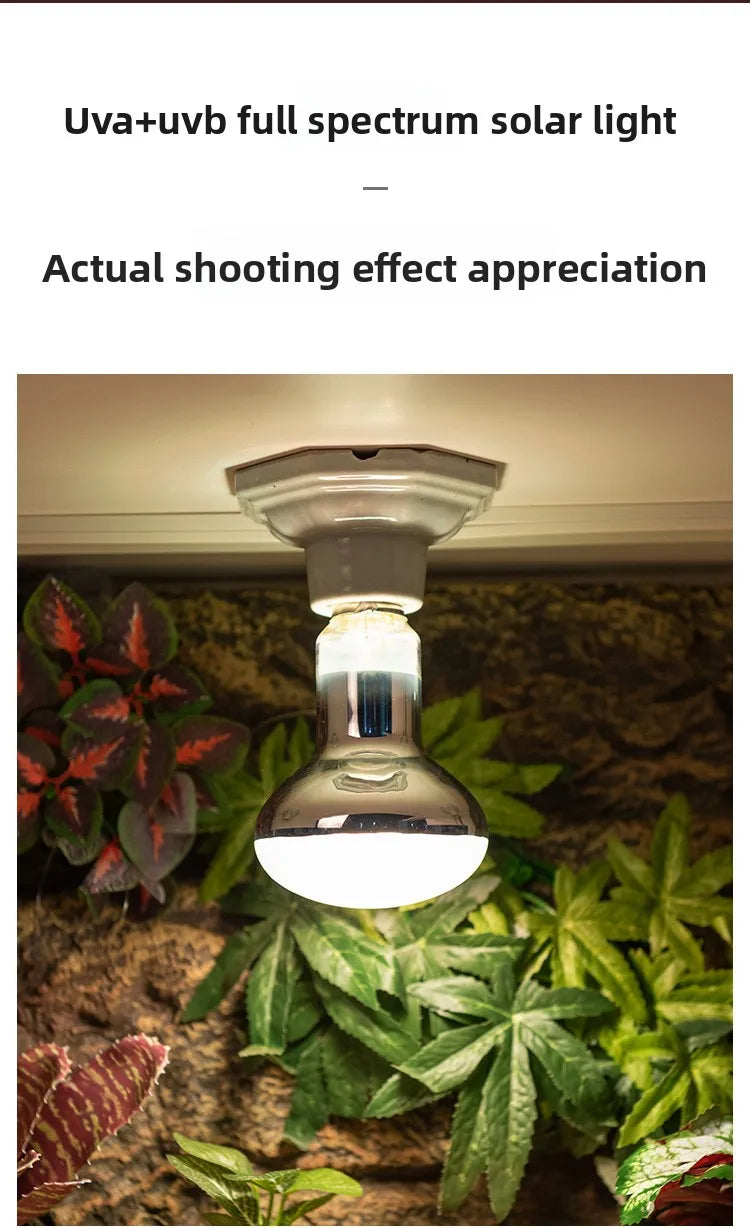 SuperRep Full Spectrum Reptile Sun Lamp - UVA/UVB Heat & Light for Tortoises & Bearded Dragons - Calcium Synthesis Basking Bulb