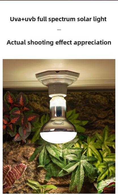 SuperRep Full Spectrum Reptile Sun Lamp - UVA/UVB Heat & Light for Tortoises & Bearded Dragons - Calcium Synthesis Basking Bulb