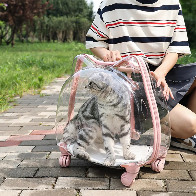 Pet Trolley Case, Fully Transparent Cat Case, Breathable Space Cabin Cat Bag, Outdoor Bag, Portable Small Dog Bag