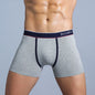 Cotton Print Boxers For Man Underwear Mens Boxer Shorts And Underpants Sexy Men's Panties Plus Size Calecon Homme Brands