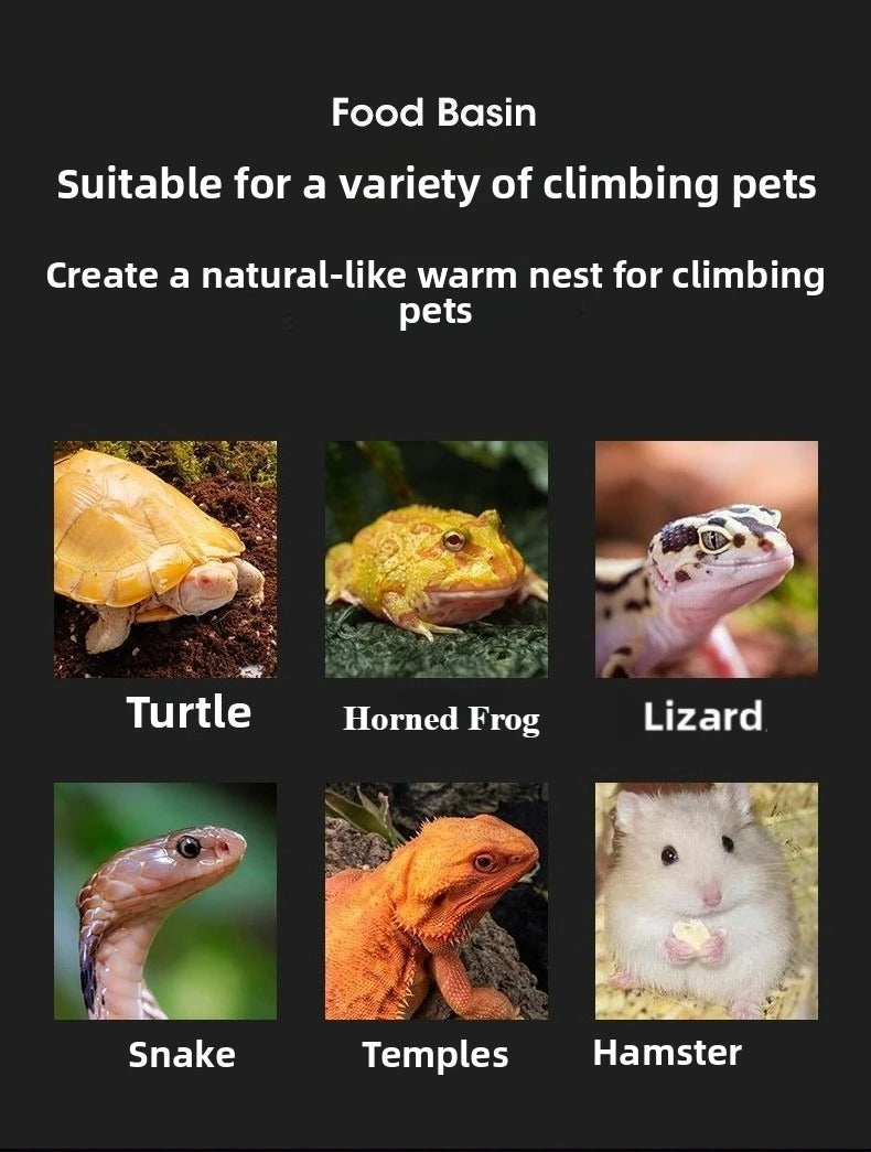 Reptile Water Food Bowl Anti-Escape Ceramic Feeder Dish for Lizard Hermit Gecko Chameleon Corn Snake Bearded Dragon Accessories