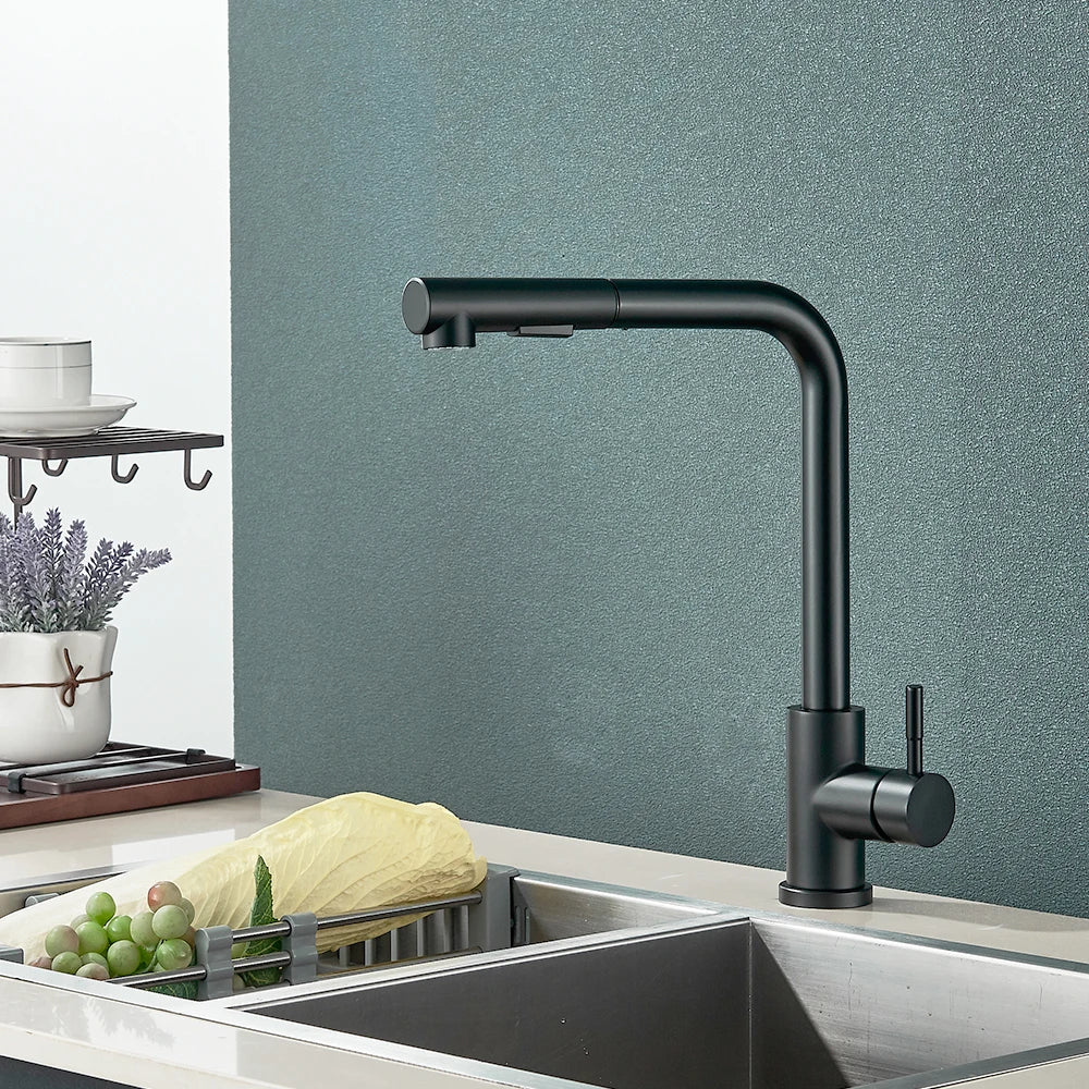 Rozin Flexible Gourmet Kitchen Faucet Black Pull Out 2 Ways Nozzle Faucets 360° Rotation Hot Cold Water Sink Mixer Tap SUS304