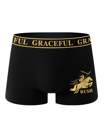 4 Piece Men's Underwear Soft Breathable Comfortable Men's Boxer Briefs High-end Black Casual Sports High Quality Men's Pants