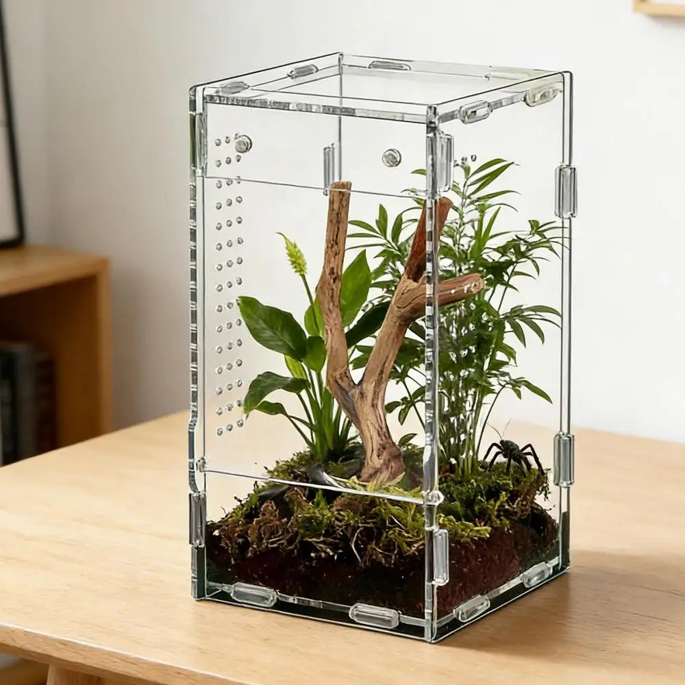 1pc Acrylic Transparent Reptile Breeding Box Amphibian Cage Nano Arboreal Tarantula Enclosure Jumping Spider Reptiles Habitat