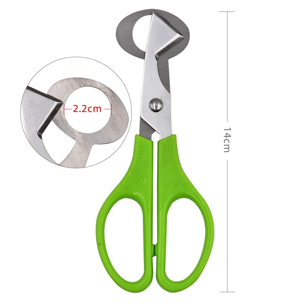 For Cutter Scissors Pigeon Bird Quail Egg Cutter Opener Cracker Kitchen Clipper Tool 10PCS Stainless Steel Quail Egg