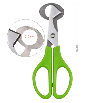 For Cutter Scissors Pigeon Bird Quail Egg Cutter Opener Cracker Kitchen Clipper Tool 10PCS Stainless Steel Quail Egg