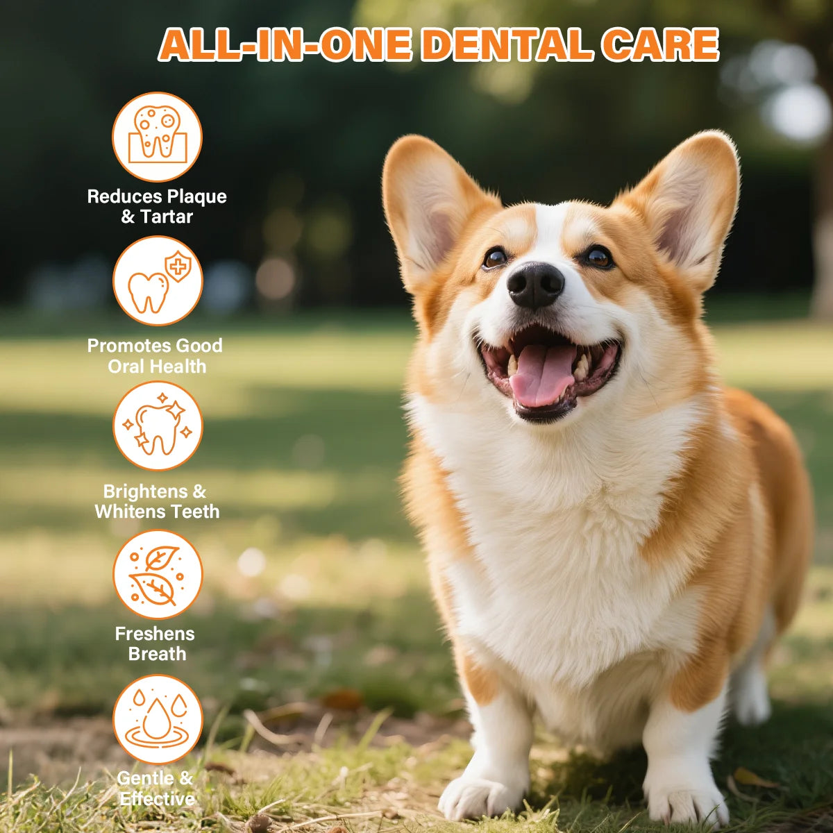 GJYC PET Probiotic Pet Dental Care Kit Toothpaste With Toothbrush Finger Brush Reduce Plaque Tartar Freshen Breath For Dogs Cats